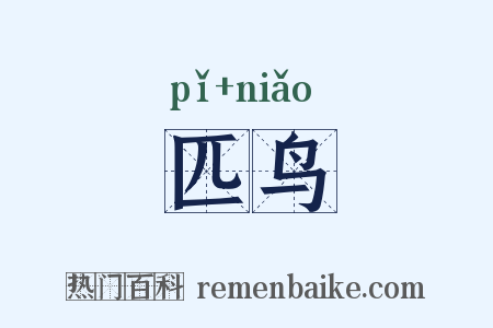 匹鸟是什么意思的图片